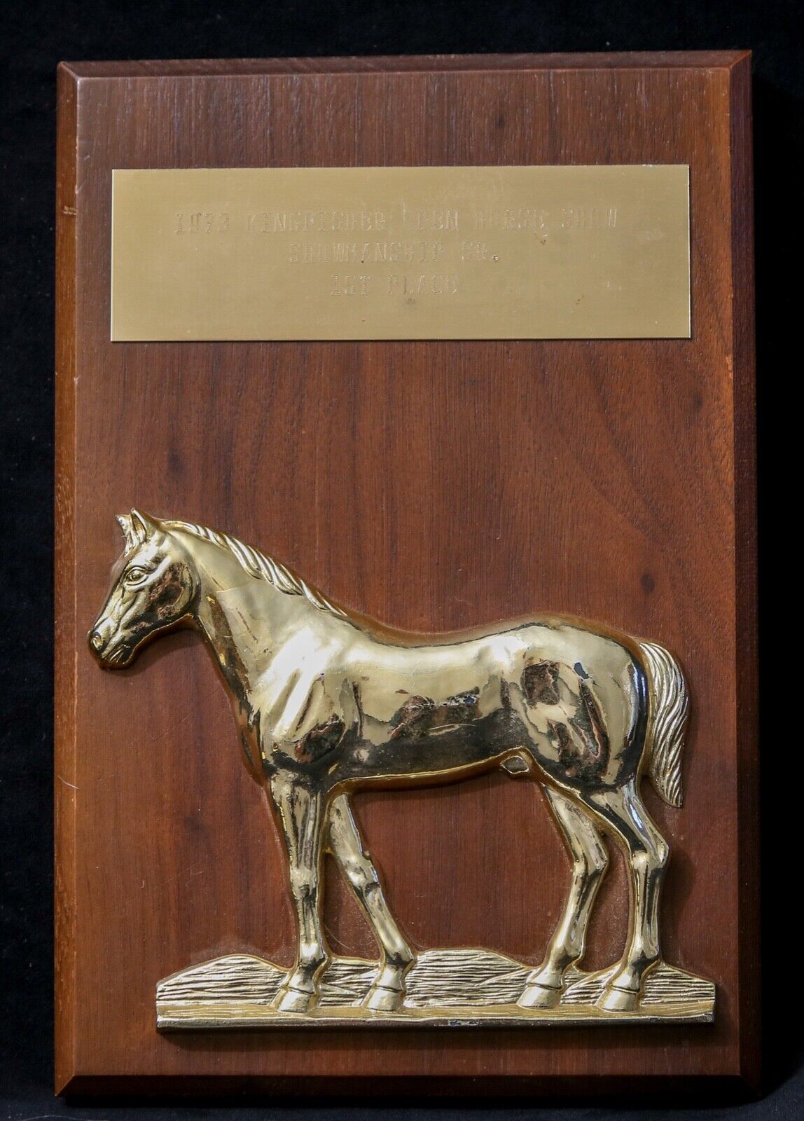 Vintage Wood 1st Place Plaque Horse Show Trophy Award Dated 1973 Retro [item Xx]