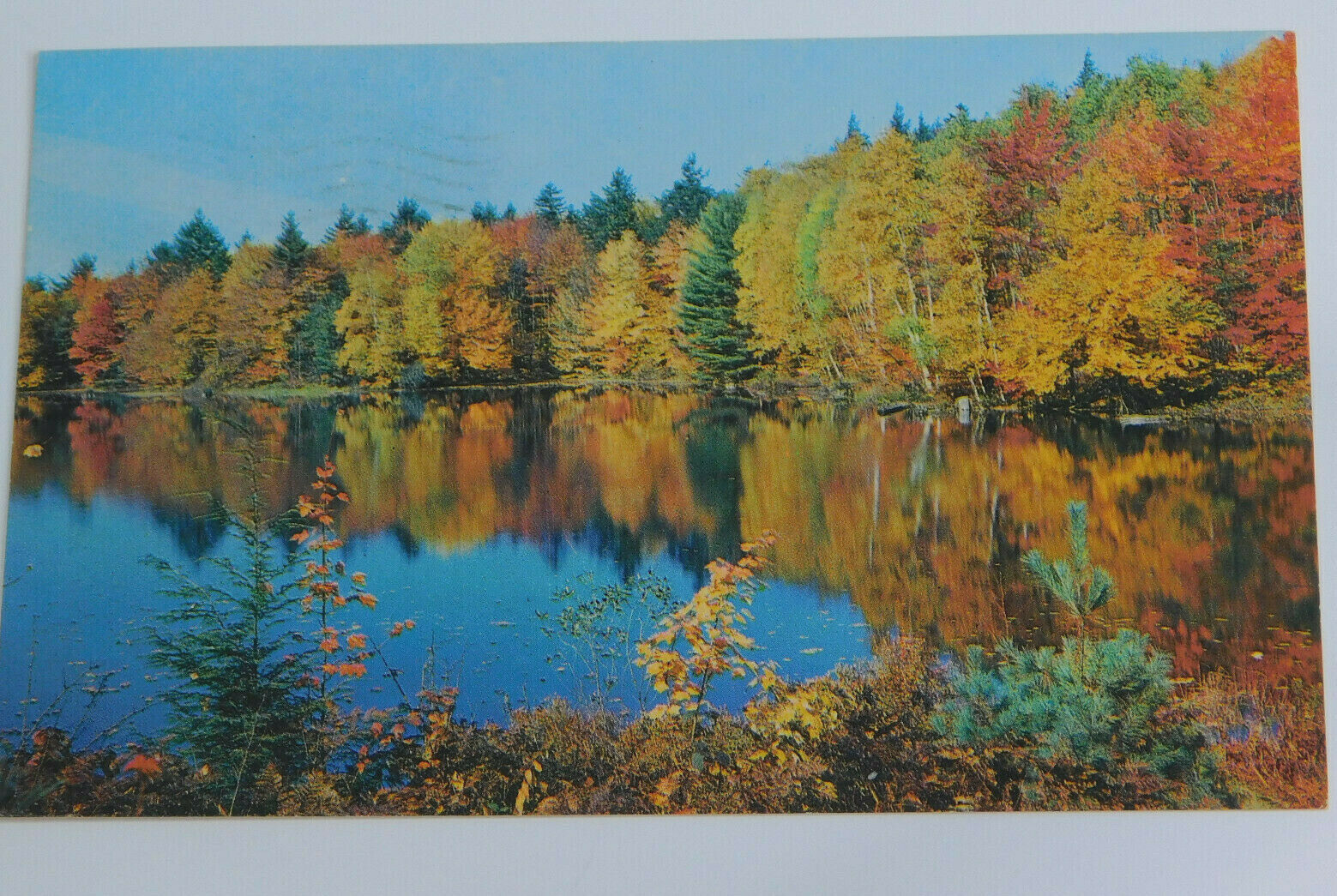 New England Fall Colors Vintage Postcard