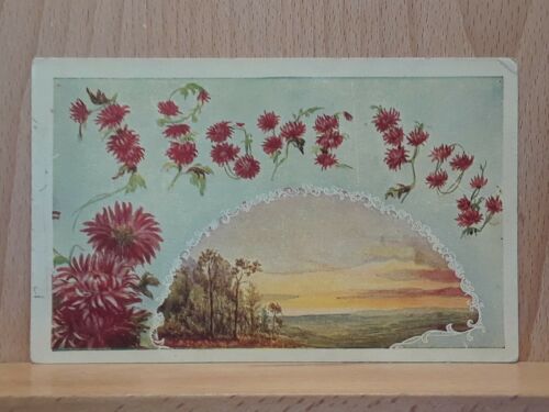 Divided Back Post Card, Floral And Scenic View